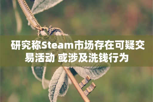  研究称Steam市场存在可疑交易活动 或涉及洗钱行为