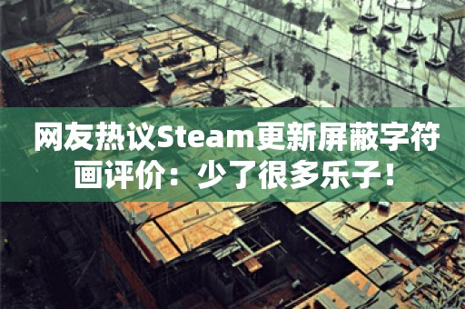  网友热议Steam更新屏蔽字符画评价：少了很多乐子！