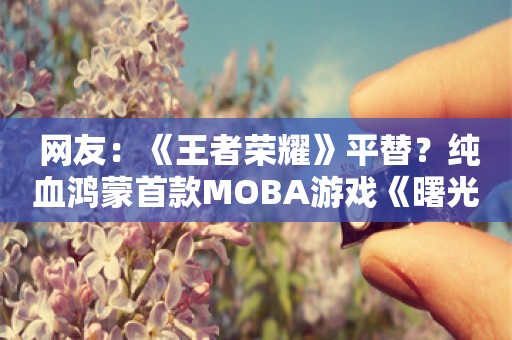  网友：《王者荣耀》平替？纯血鸿蒙首款MOBA游戏《曙光英雄》上线