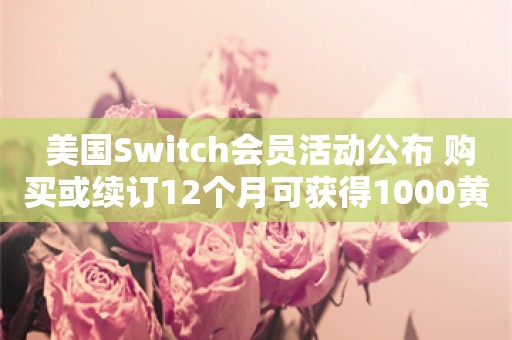  美国Switch会员活动公布 购买或续订12个月可获得1000黄金点数