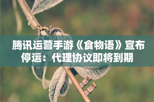  腾讯运营手游《食物语》宣布停运：代理协议即将到期