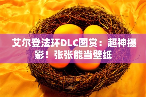  艾尔登法环DLC图赏：超神摄影！张张能当壁纸