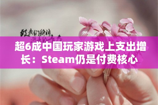  超6成中国玩家游戏上支出增长：Steam仍是付费核心