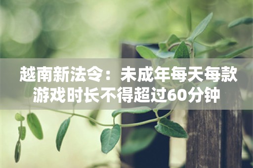  越南新法令：未成年每天每款游戏时长不得超过60分钟