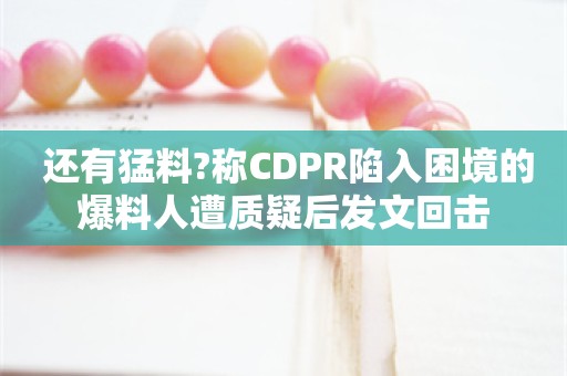  还有猛料?称CDPR陷入困境的爆料人遭质疑后发文回击