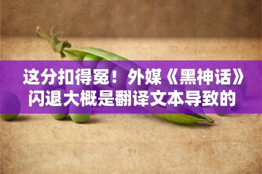  这分扣得冤！外媒《黑神话》闪退大概是翻译文本导致的