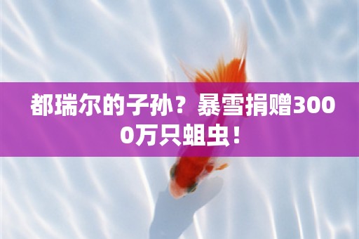  都瑞尔的子孙？暴雪捐赠3000万只蛆虫！