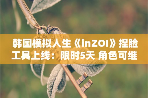  韩国模拟人生《inZOI》捏脸工具上线：限时5天 角色可继承至游戏中