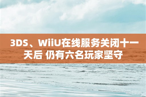  3DS、WiiU在线服务关闭十一天后 仍有六名玩家坚守