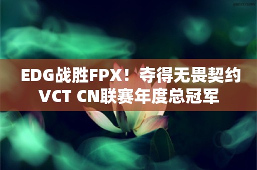  EDG战胜FPX！夺得无畏契约VCT CN联赛年度总冠军