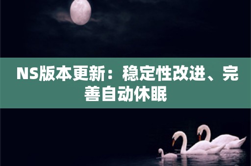  NS版本更新：稳定性改进、完善自动休眠