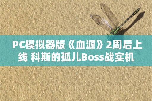  PC模拟器版《血源》2周后上线 科斯的孤儿Boss战实机