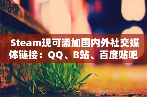  Steam现可添加国内外社交媒体链接：QQ、B站、百度贴吧等