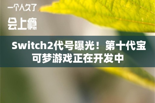  Switch2代号曝光！第十代宝可梦游戏正在开发中