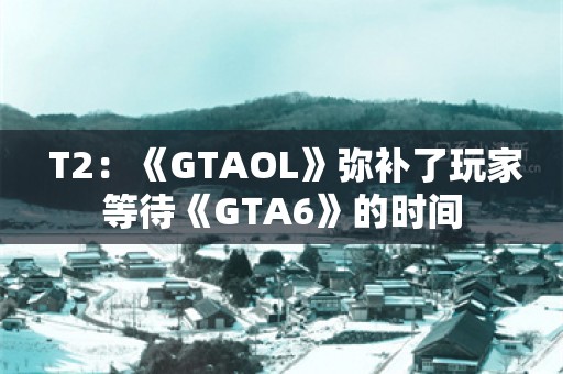  T2：《GTAOL》弥补了玩家等待《GTA6》的时间