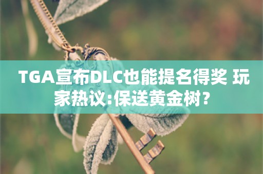  TGA宣布DLC也能提名得奖 玩家热议:保送黄金树？