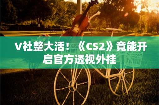  V社整大活！《CS2》竟能开启官方透视外挂