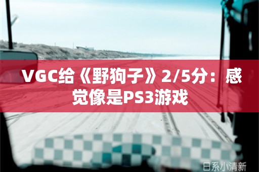  VGC给《野狗子》2/5分：感觉像是PS3游戏