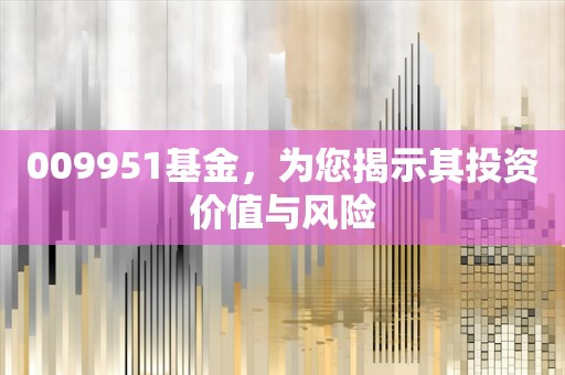 009951基金，为您揭示其投资价值与风险