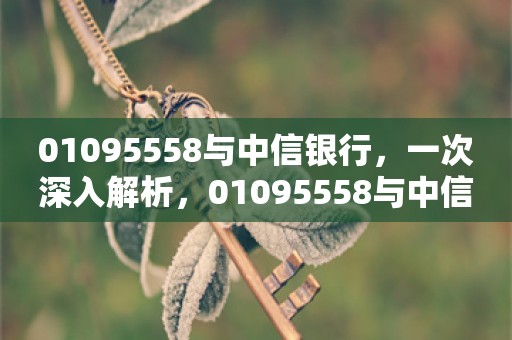 01095558与中信银行，一次深入解析，01095558与中信银行，深入解析与探讨