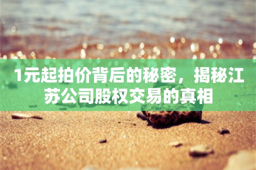 1元起拍价背后的秘密，揭秘江苏公司股权交易的真相