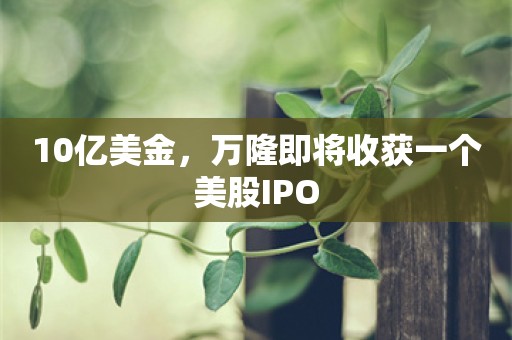 10亿美金，万隆即将收获一个美股IPO