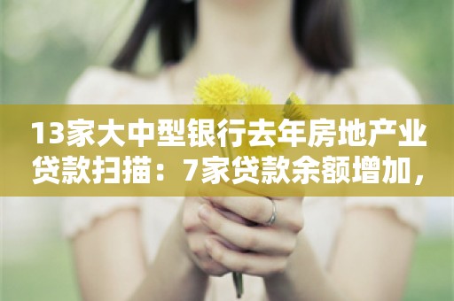 13家大中型银行去年房地产业贷款扫描：7家贷款余额增加，6家不良率下降