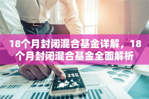 18个月封闭混合基金详解，18个月封闭混合基金全面解析