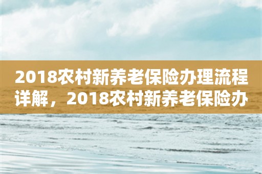 2018农村新养老保险办理流程详解，2018农村新养老保险办理流程全解析