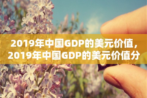 2019年中国GDP的美元价值，2019年中国GDP的美元价值分析