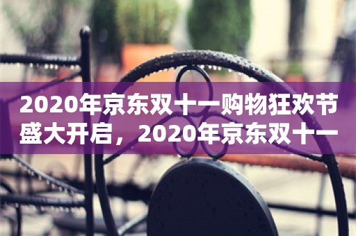 2020年京东双十一购物狂欢节盛大开启，2020年京东双十一购物狂欢节，盛大开启的购物盛宴