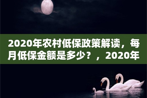 2020年农村低保政策解读，每月低保金额是多少？，2020年农村低保政策解读及每月低保金额标准