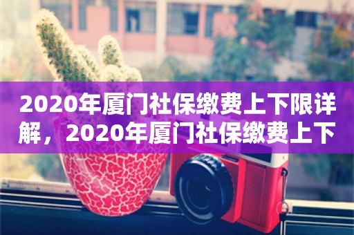 2020年厦门社保缴费上下限详解，2020年厦门社保缴费上下限详解