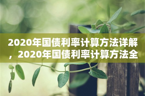 2020年国债利率计算方法详解，2020年国债利率计算方法全面解析