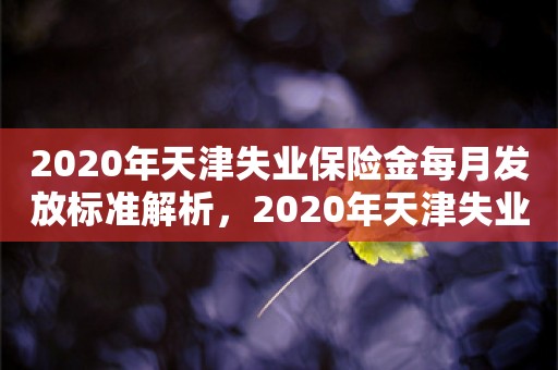 2020年天津失业保险金每月发放标准解析，2020年天津失业保险金每月发放标准详解