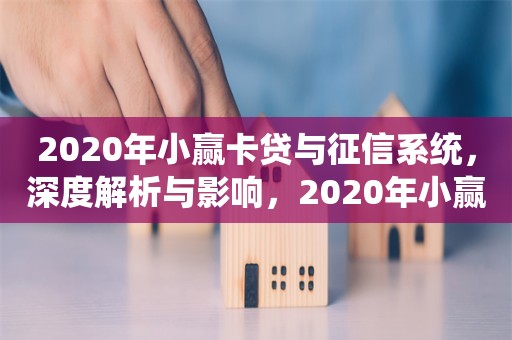 2020年小赢卡贷与征信系统，深度解析与影响，2020年小赢卡贷与征信系统的深度解析与影响