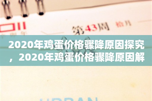 2020年鸡蛋价格骤降原因探究，2020年鸡蛋价格骤降原因解析