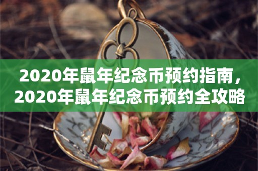 2020年鼠年纪念币预约指南，2020年鼠年纪念币预约全攻略