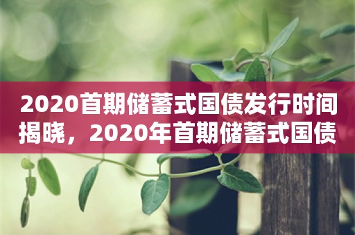 2020首期储蓄式国债发行时间揭晓，2020年首期储蓄式国债发行时间揭晓