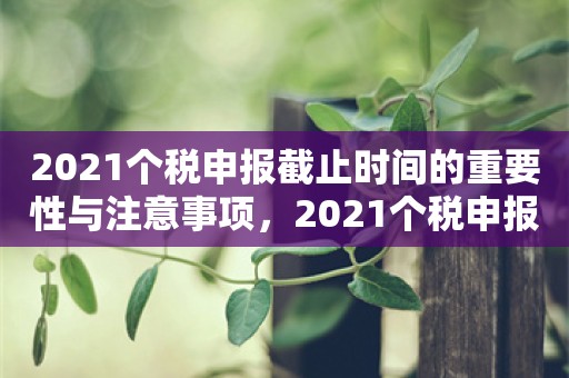 2021个税申报截止时间的重要性与注意事项，2021个税申报截止时间的重要性及申报注意事项