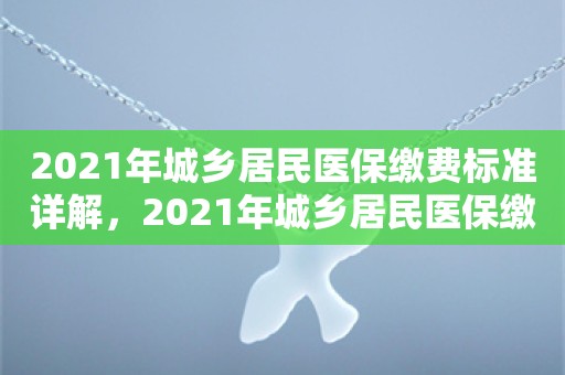 2021年城乡居民医保缴费标准详解，2021年城乡居民医保缴费标准全面解析