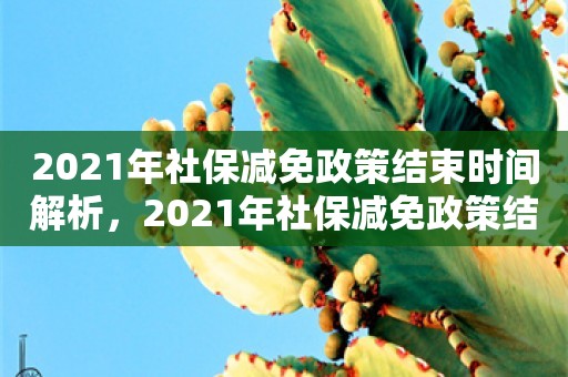 2021年社保减免政策结束时间解析，2021年社保减免政策结束时间解析