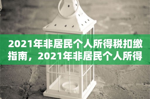 2021年非居民个人所得税扣缴指南，2021年非居民个人所得税扣缴指南