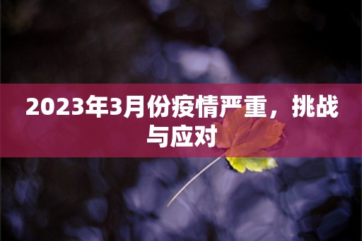 2023年3月份疫情严重，挑战与应对