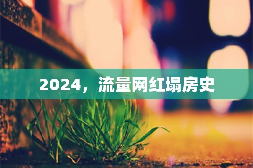 2024，流量网红塌房史