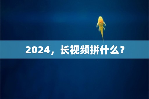 2024，长视频拼什么？