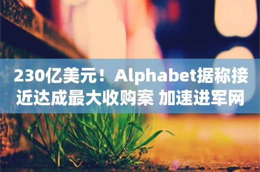 230亿美元！Alphabet据称接近达成最大收购案 加速进军网络安全领域