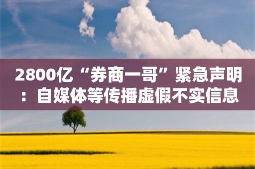 2800亿“券商一哥”紧急声明：自媒体等传播虚假不实信息与事实相悖