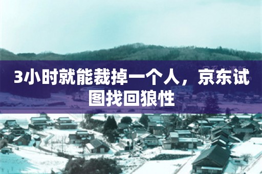 3小时就能裁掉一个人，京东试图找回狼性