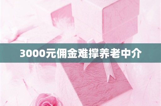 3000元佣金难撑养老中介